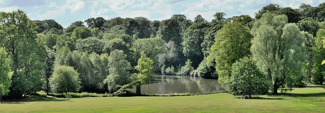 Peaceful park setting near our Highgate practice